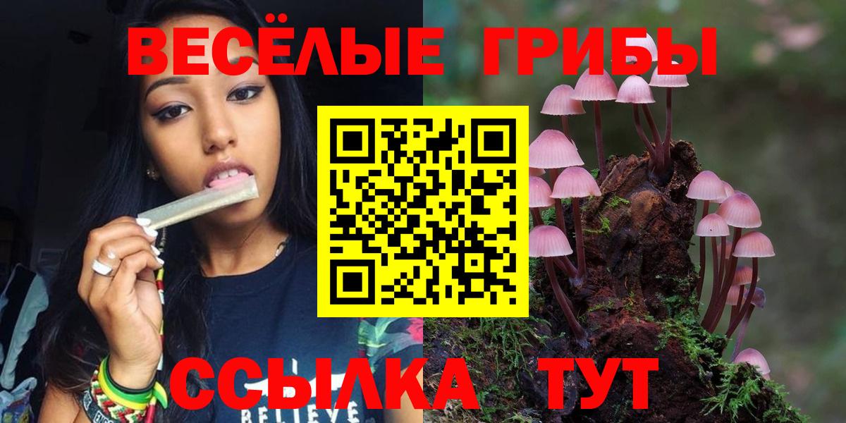 Ливны  Галлюциногенные грибы MAGIC MUSHROOMS  Вход с VPN  Псилоцибиновые грибы MAGIC MUSHROOMS 